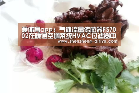 爱体育app:气体流量传感器FS7002在暖通空调系统HVAC过滤器中发挥怎样的(图4) 爱体育app